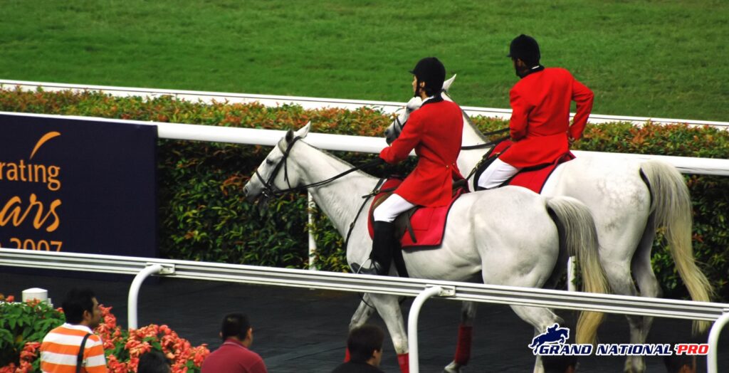 aintree maghull chase 300pm