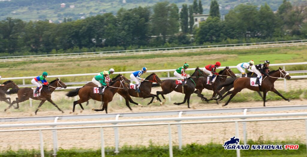 grand national 2018 runners