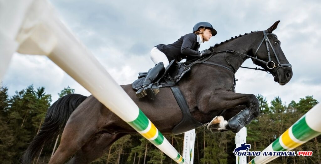 dan skelton concerns quality jump horses