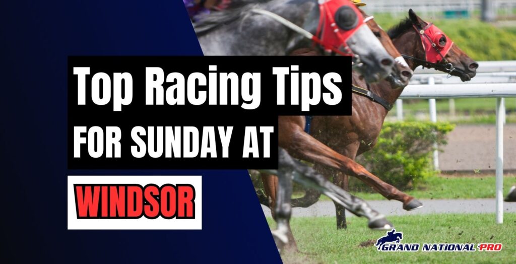 expert racing tips windsor