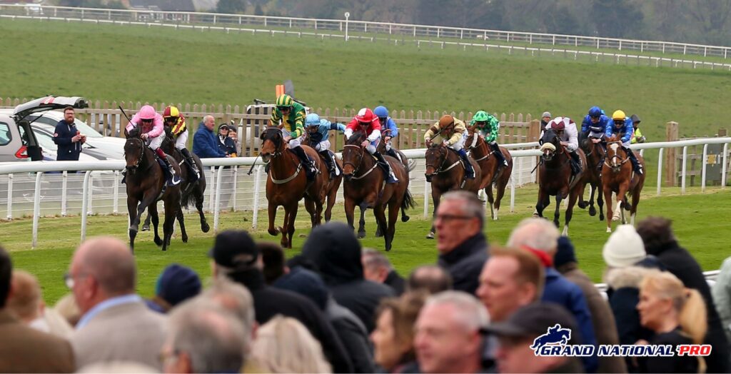 horse race in newcastle