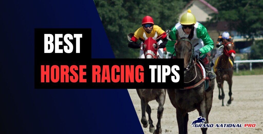 horse racing tips three meetings