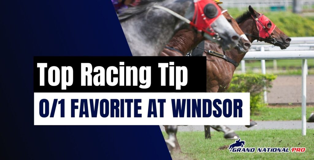 horse racing tips windsor 101 favorite