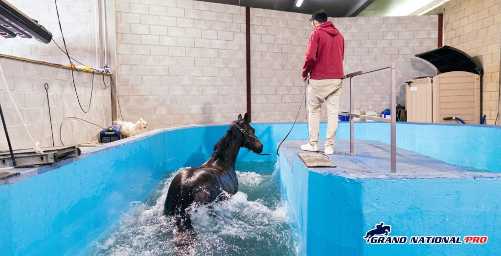 hydrotherapy pools for horses