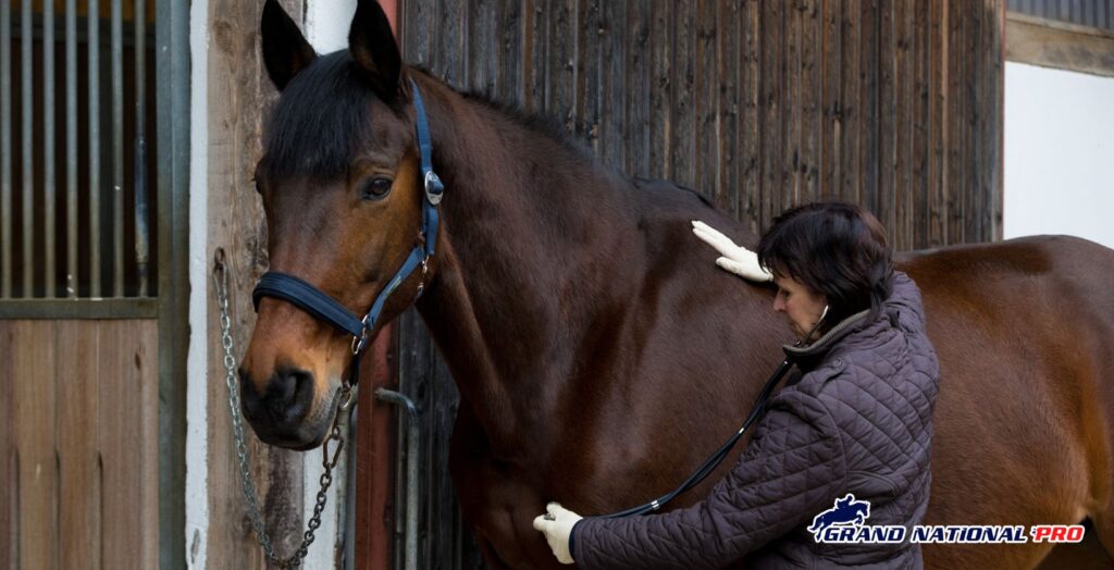 new cost-saving initiatives horse owners