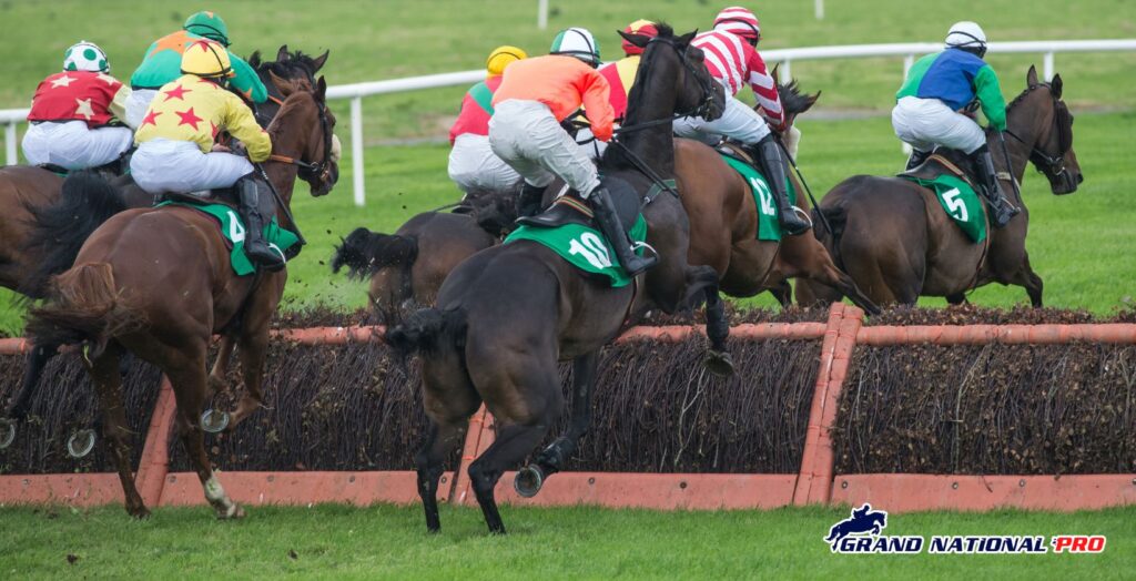 richard birch haydock hurdler focus