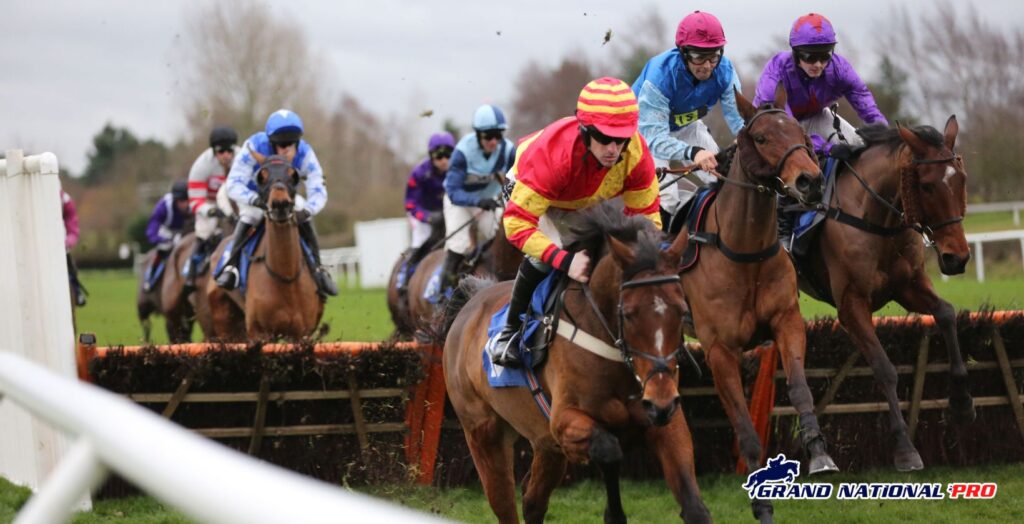 triumph hurdle