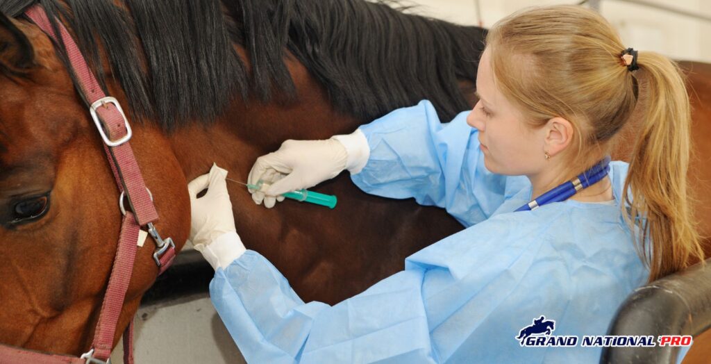 vet care for horses