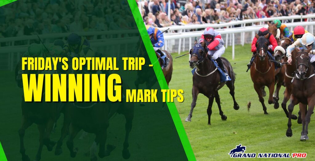 winning mark tips jan25