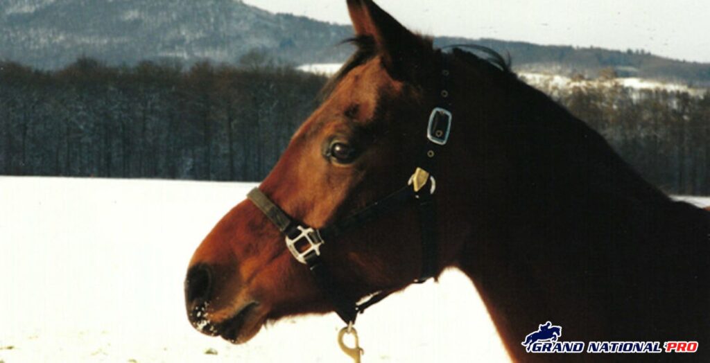 worlds oldest horse echoquette