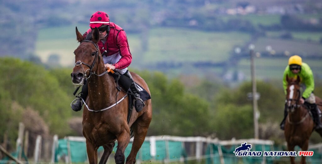 ballyburn leopardstown victory