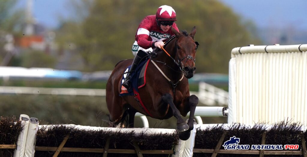 brighterdaysahead cheltenham decision