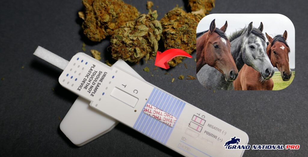 british horses drug tests ireland