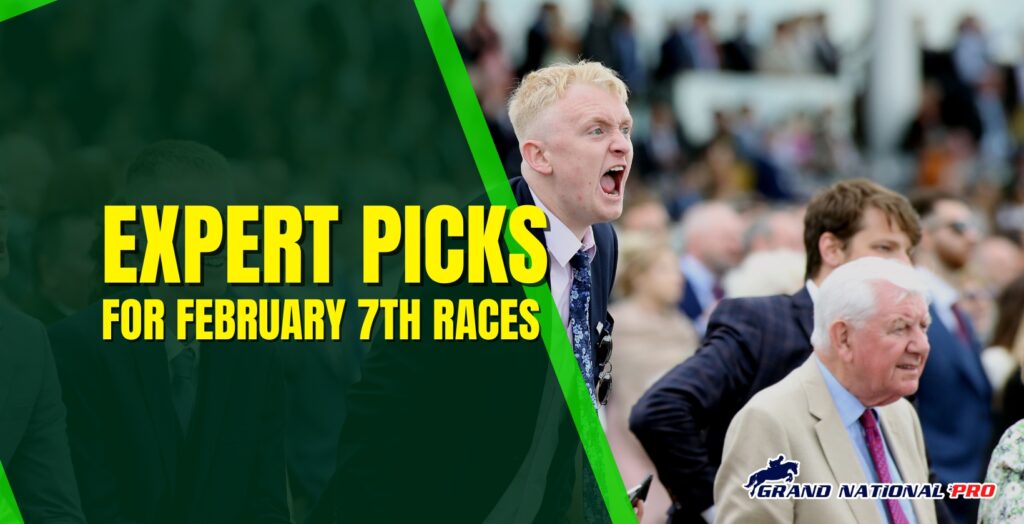 expert horse racing feb7