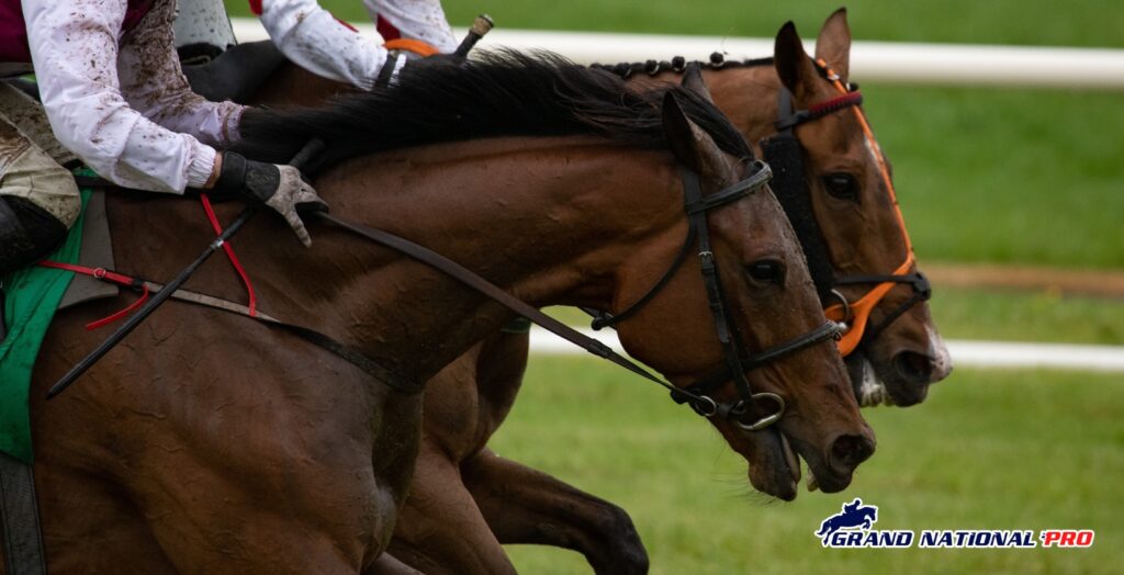 grand national 2017 confirmed runners