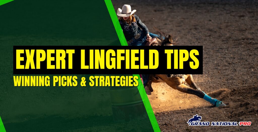 lingfield racing tips 2025