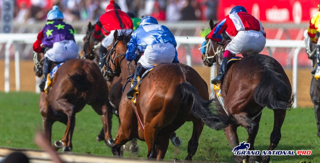 Paul Nicholls Pendil Chase