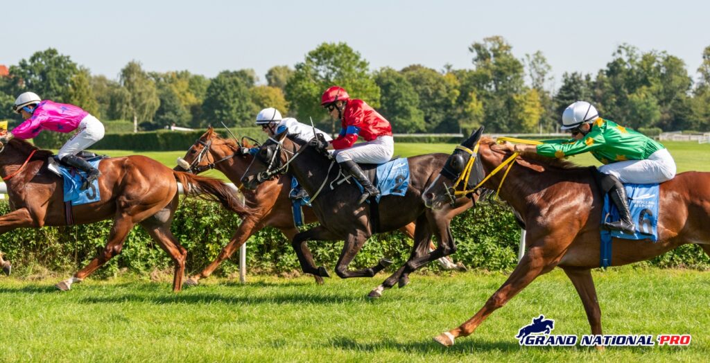 noel fehily blaklion 2017