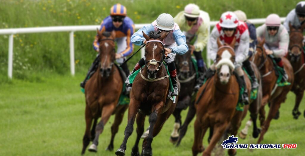 patrick mullins dublin reflections