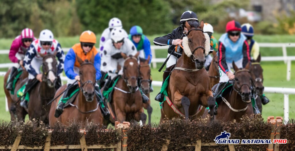 wetherby novice hurdle 155