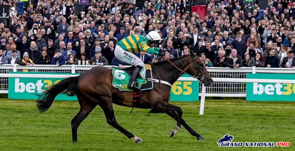 jonbon jumps horse