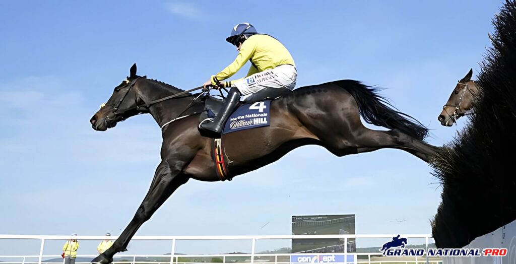 marine nationale punchestown