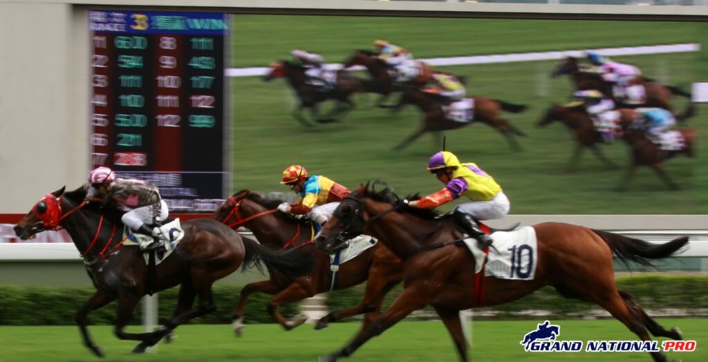 saturday picks leicester haydock ripon doncaster
