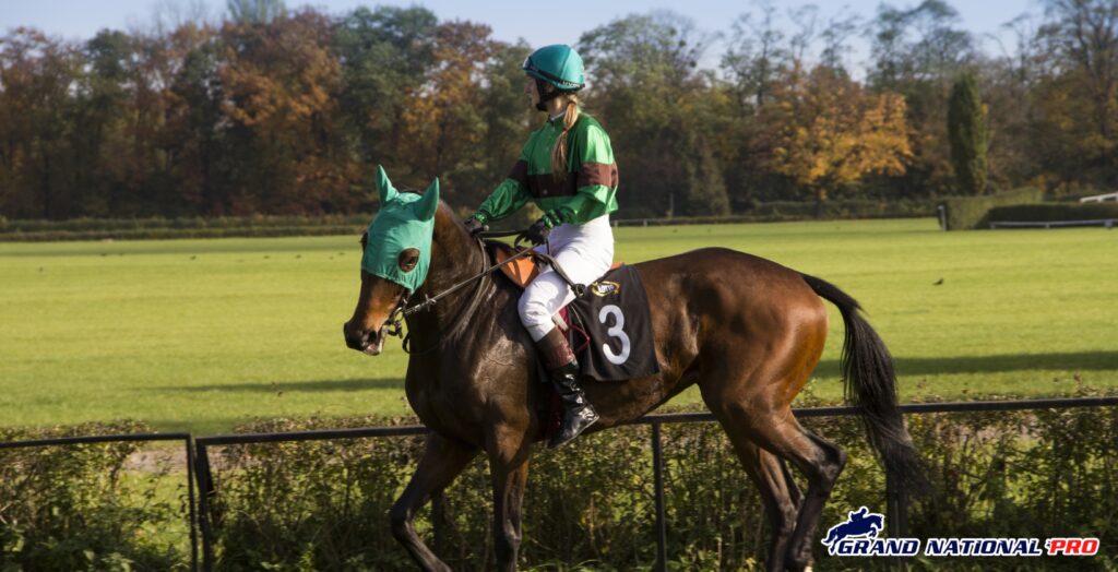 expert horse racing tips for sunday may 25 at the curragh and fontwell