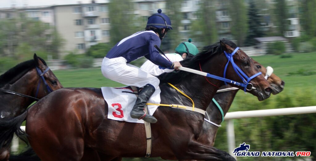 future star in horse racing william haggas promising-2 1 nap