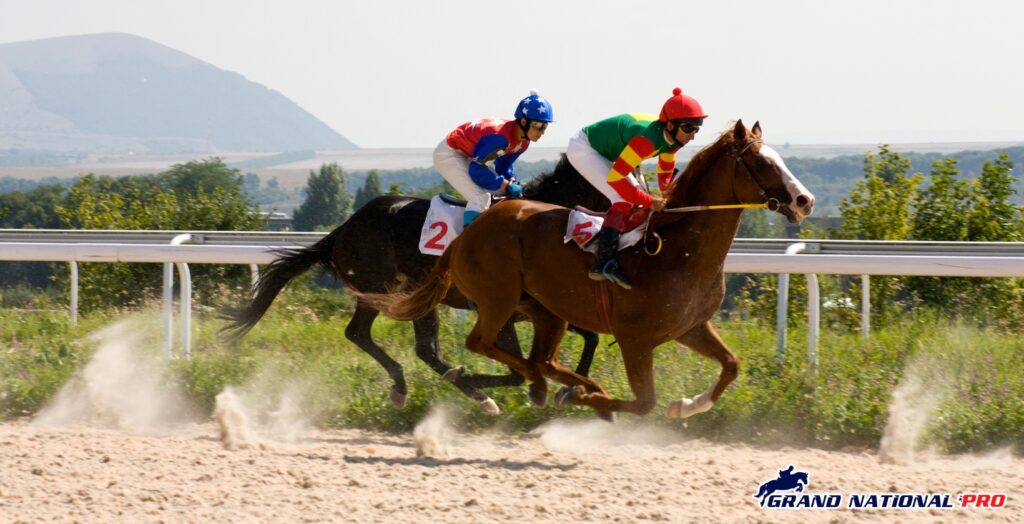 horse racing insights for haydock and goodwood on may