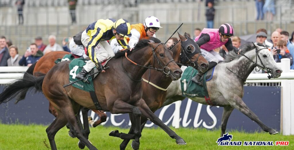 jamess-delight-greenlands-curragh
