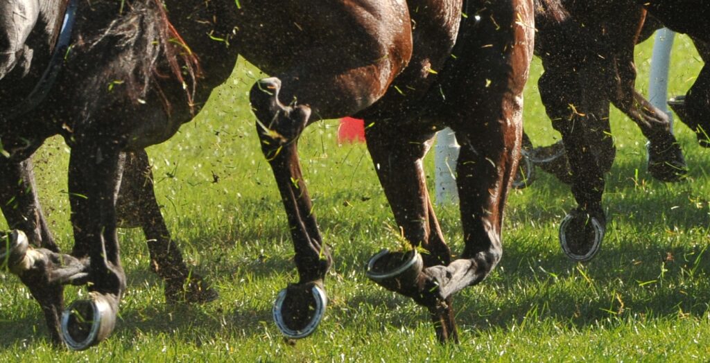 legendary horse racing tracks in yorkshire