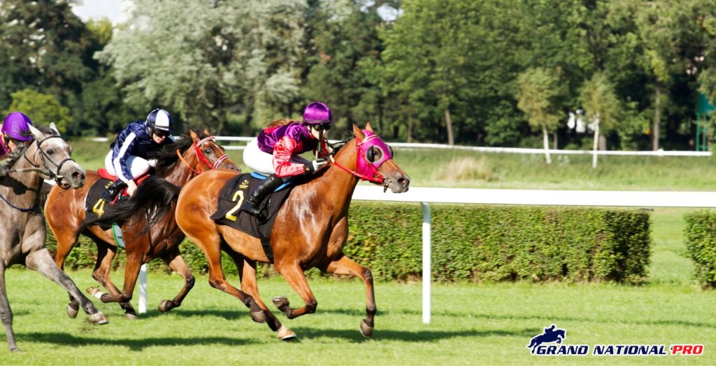 lion-in-winter-derby-favor-1640x840