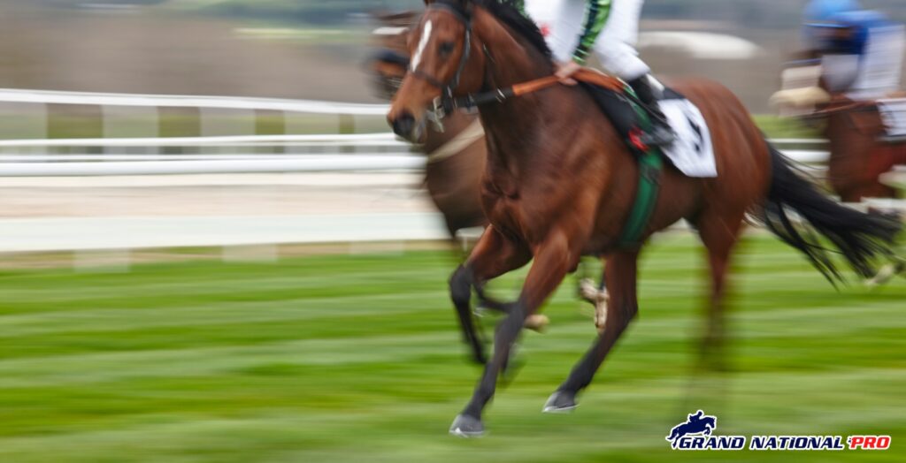 lucky15-racing-tips-1640x840