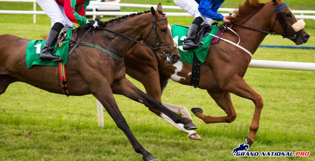 may20 racing tips cork hexham