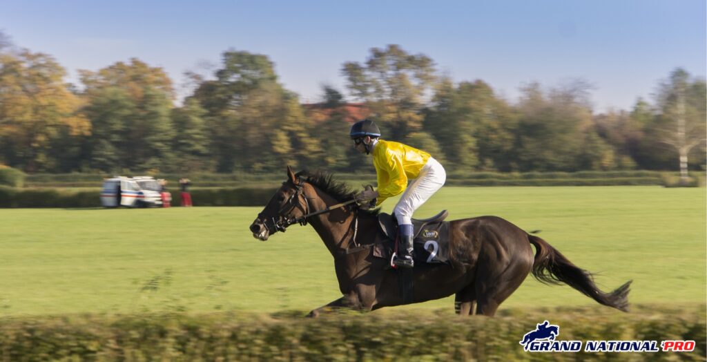 rachael blackmore shocks racing world with surprise retirement