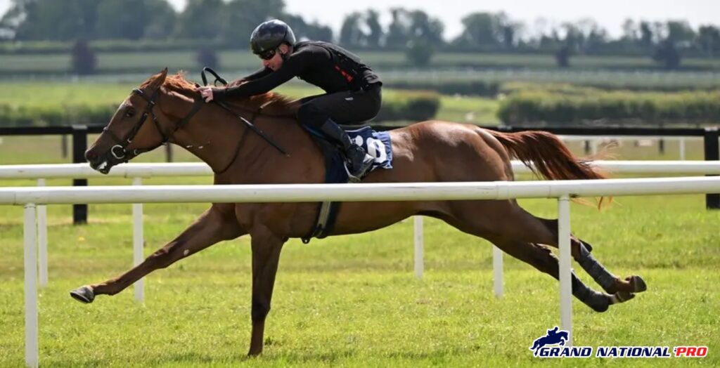 tattersalls-filly-surge-1640x840