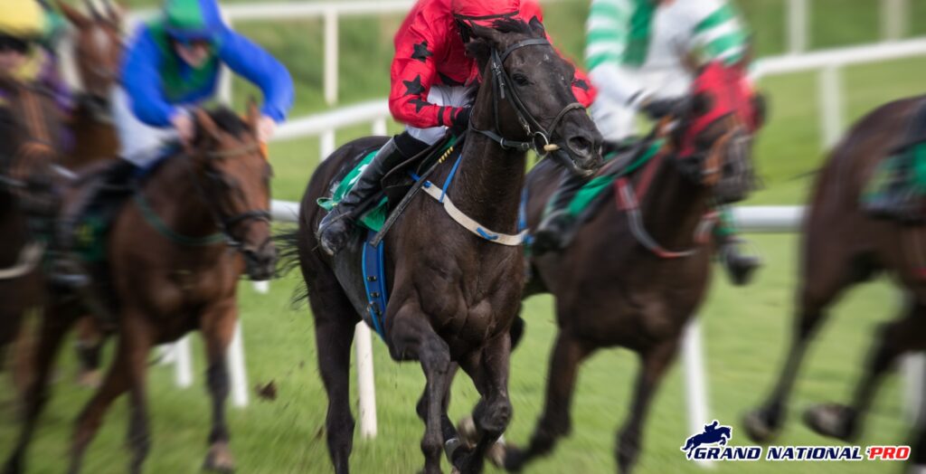timeform-top3-horses-uk